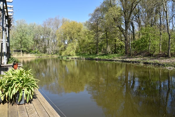 DSC_5825 (Aangepast).JPG